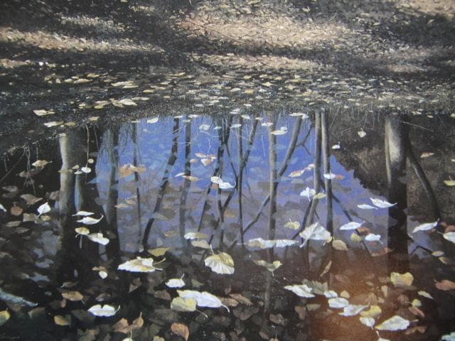 田中芳照、【落陽の池】、希少な額装用画集より、新品額装付、状態良好