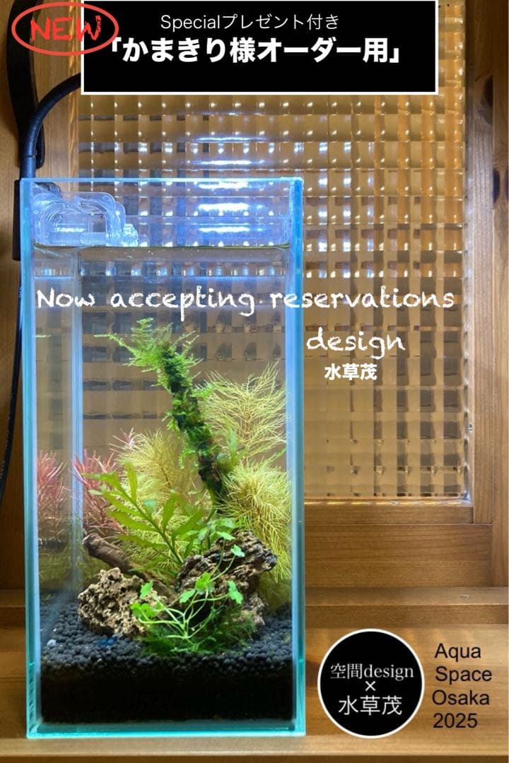 水草茂「かまきり様オーダー用」