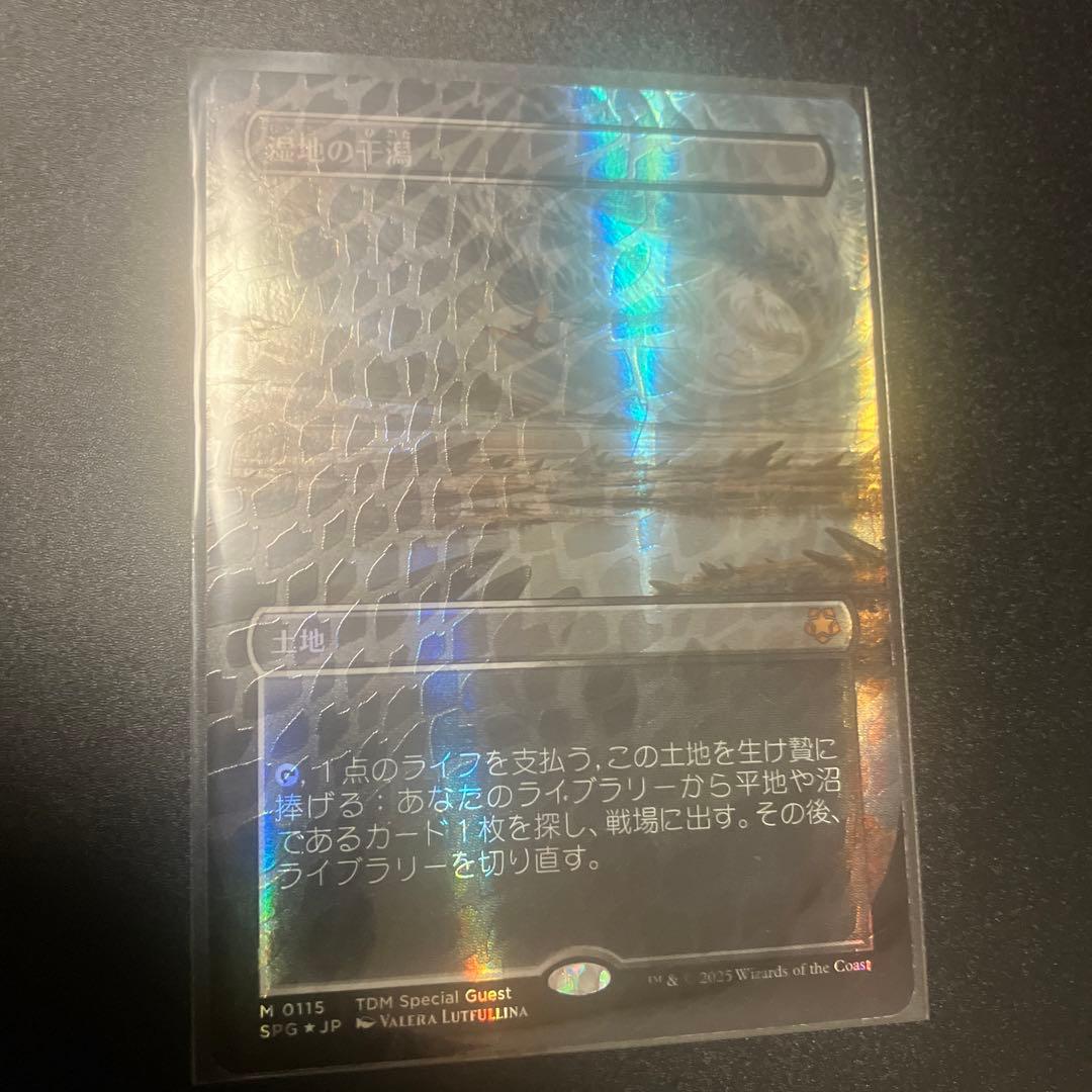 湿地の干潟　ドラゴンスケイルFOIL 日版