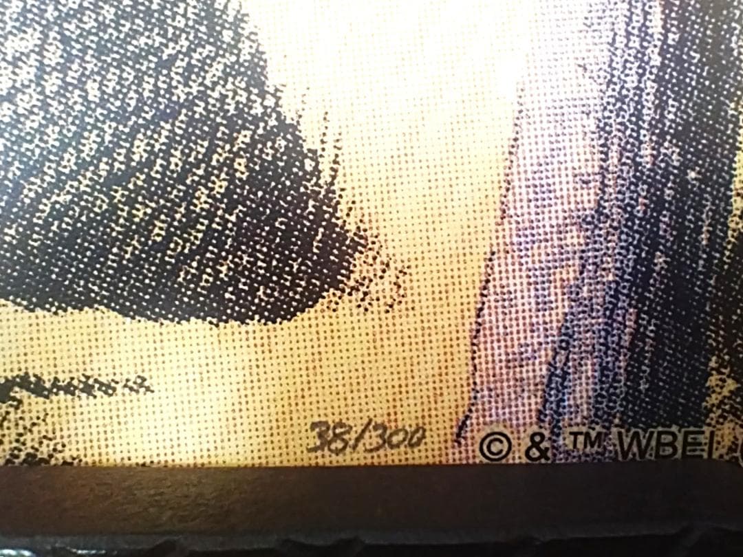 かじゅうたちのいるところ　ツリー・トップス　モーリス・センダックコールデコット賞