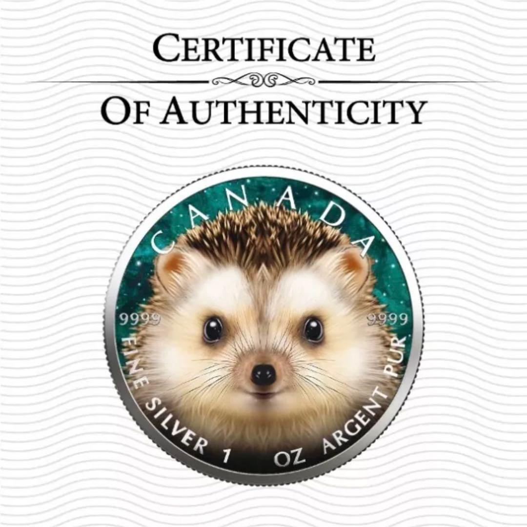 世界100枚限定！ カナダ メイプルリーフ 銀貨 カラー ハリネズミ 1オンス