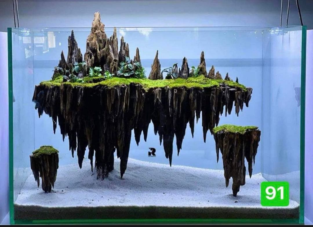 流木　ブランチウッド水草用の 流木　アクアリウム　パルダリウム　マシンガンウッド