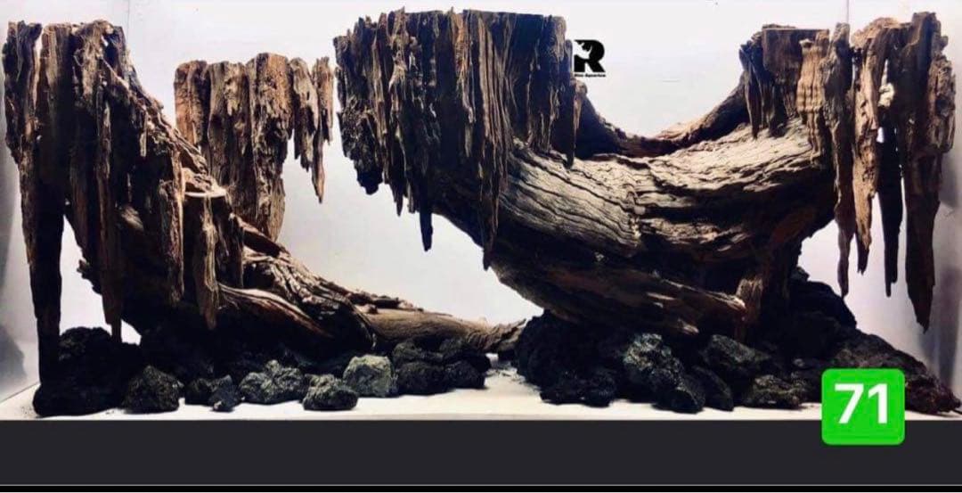 流木　ブランチウッド水草用の 流木　アクアリウム　パルダリウム　マシンガンウッド