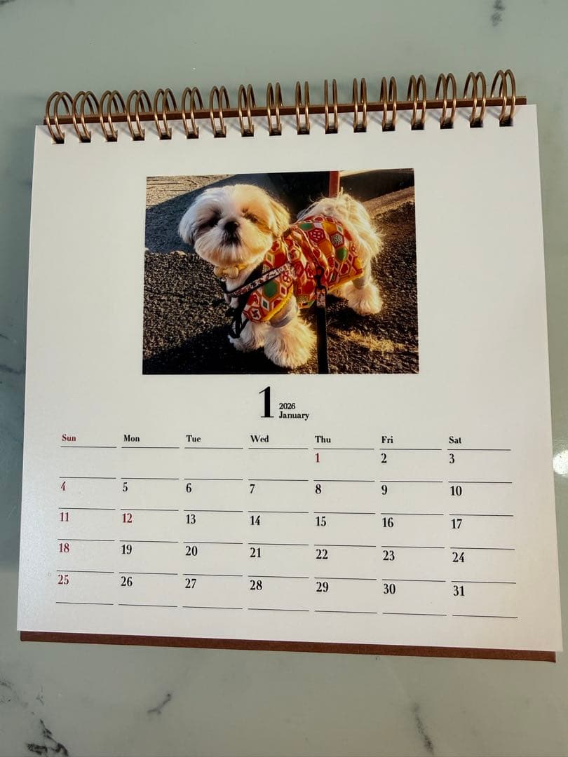 シーズーちくわの卓上カレンダー【オリジナル】