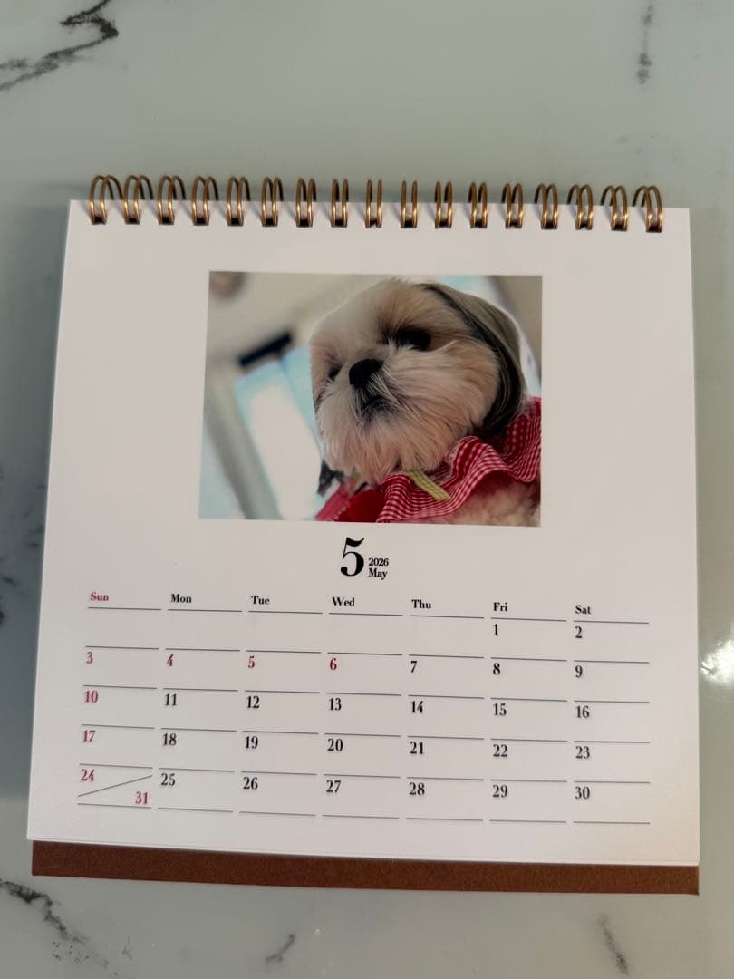 シーズーちくわの卓上カレンダー【オリジナル】