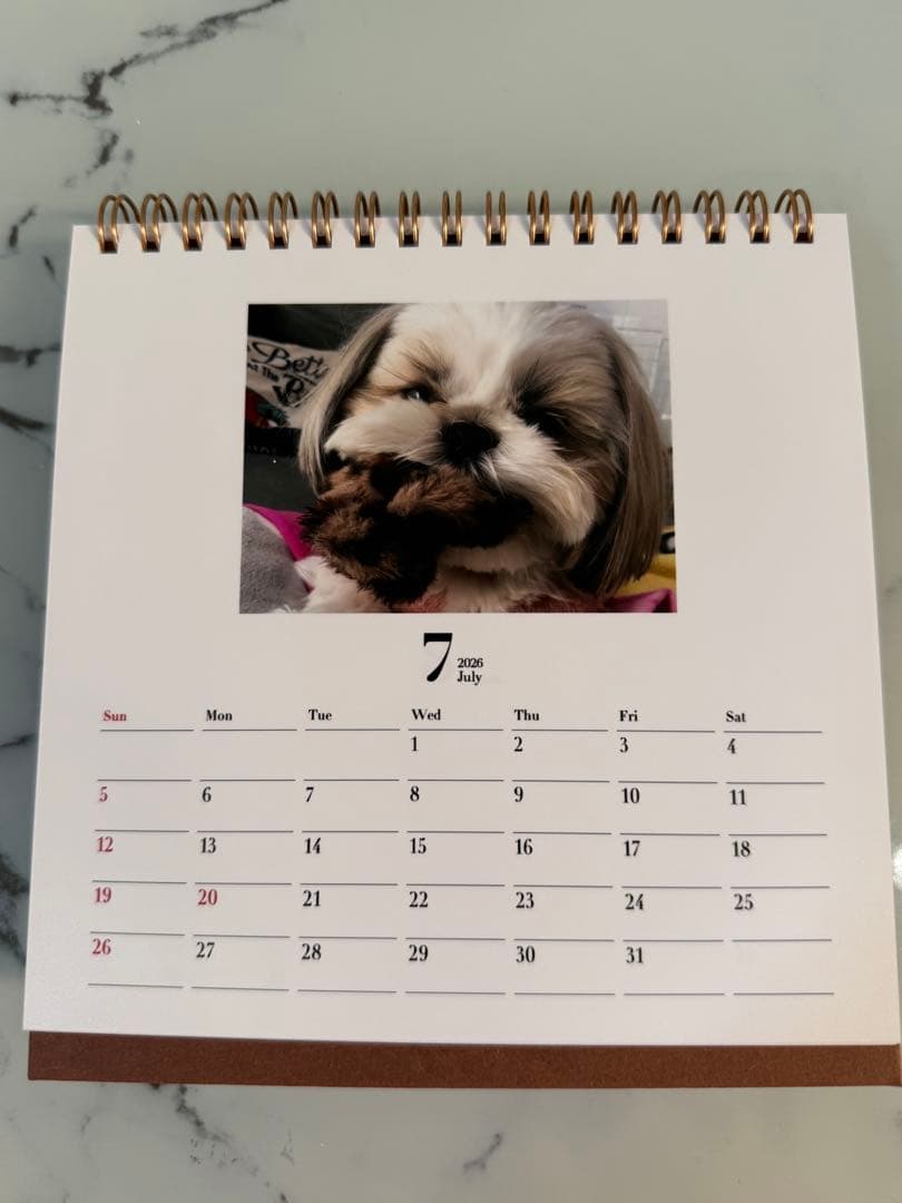 シーズーちくわの卓上カレンダー【オリジナル】