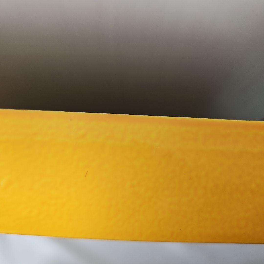 ⭐　イラスト画複製　アンディーウォーホル