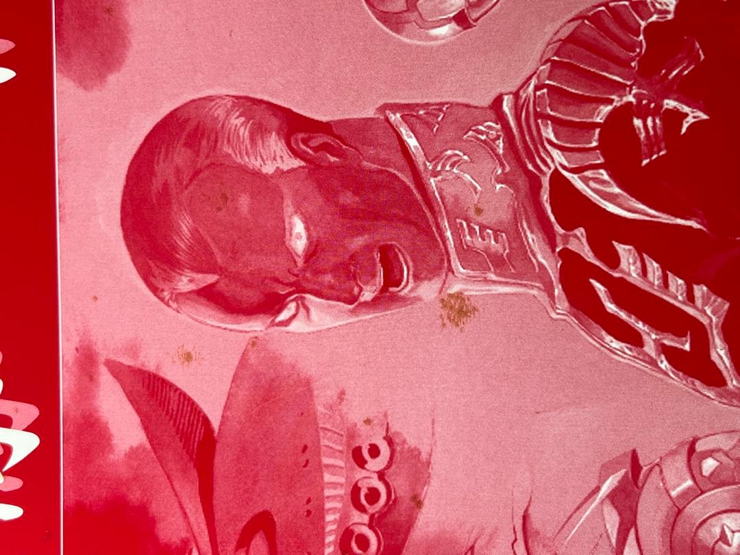 [未組立] PG キャスバル専用ガンダム ギレンの野望