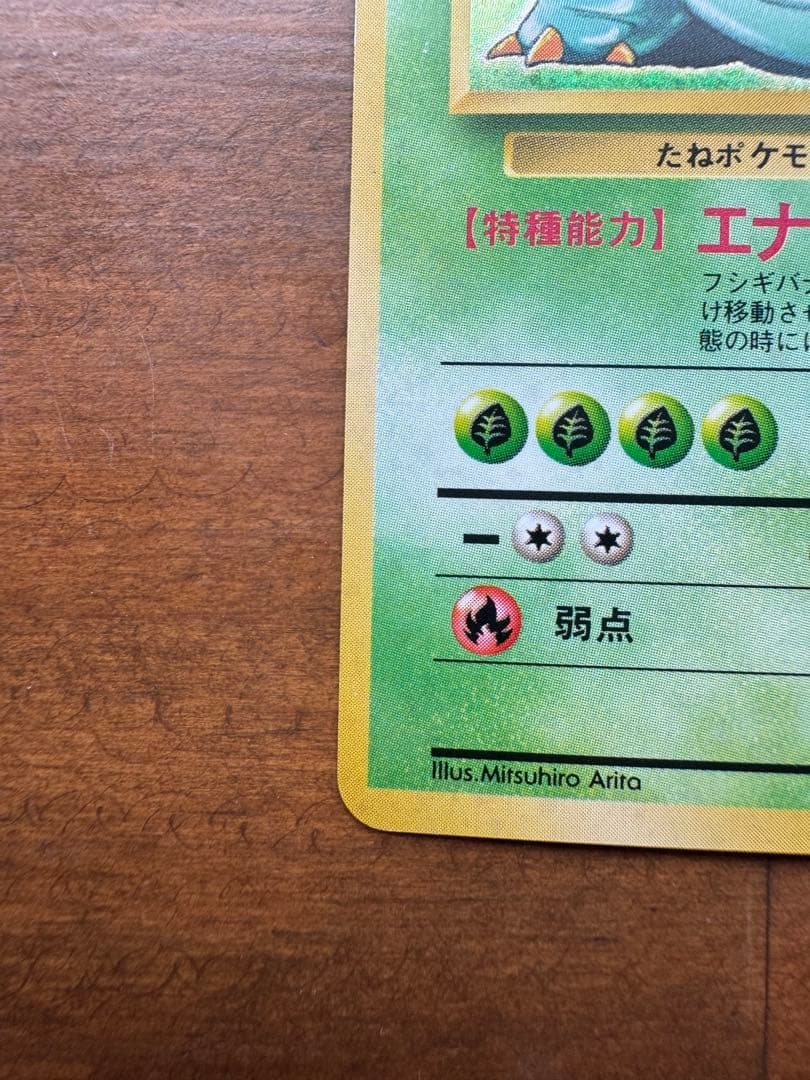 フシギバナ 旧裏 初版 マークなし ポケモンカード