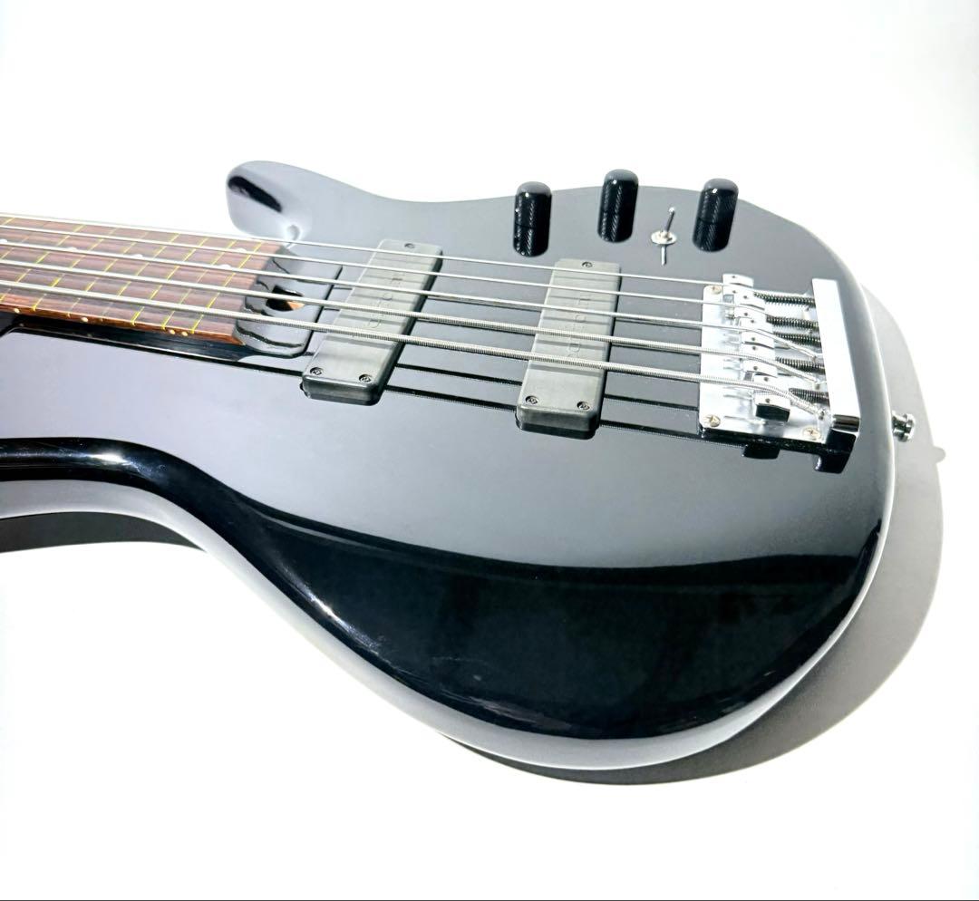 【希少】HEARTFIELD DR-5 カスタム 5弦ベース フレットレス仕様