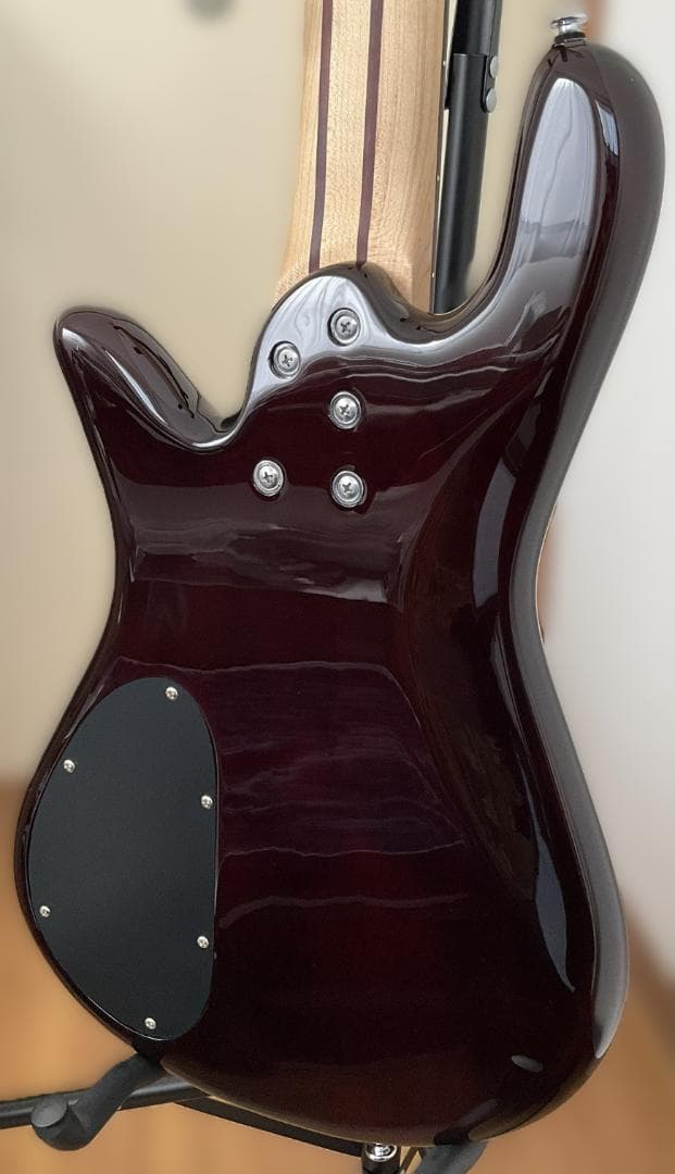 【美品・送料込】Spector 5弦ベース