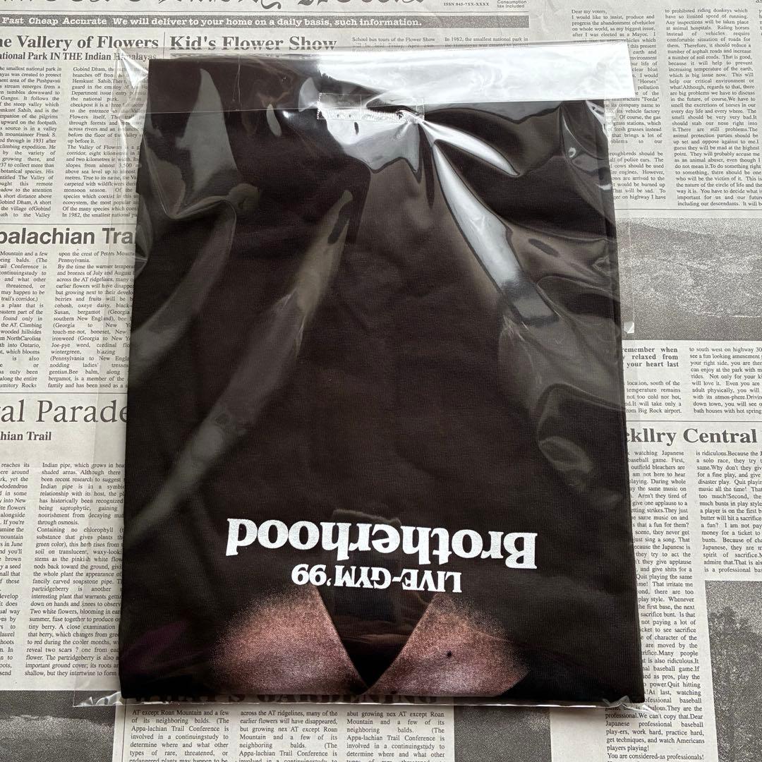 B'z LIVE-GYM Brotherhood 99ライブTシャツ 【美品】