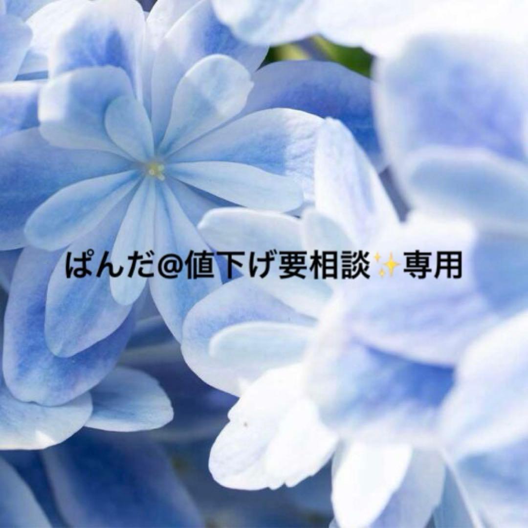 ぱんだ@値下げ要相談✨