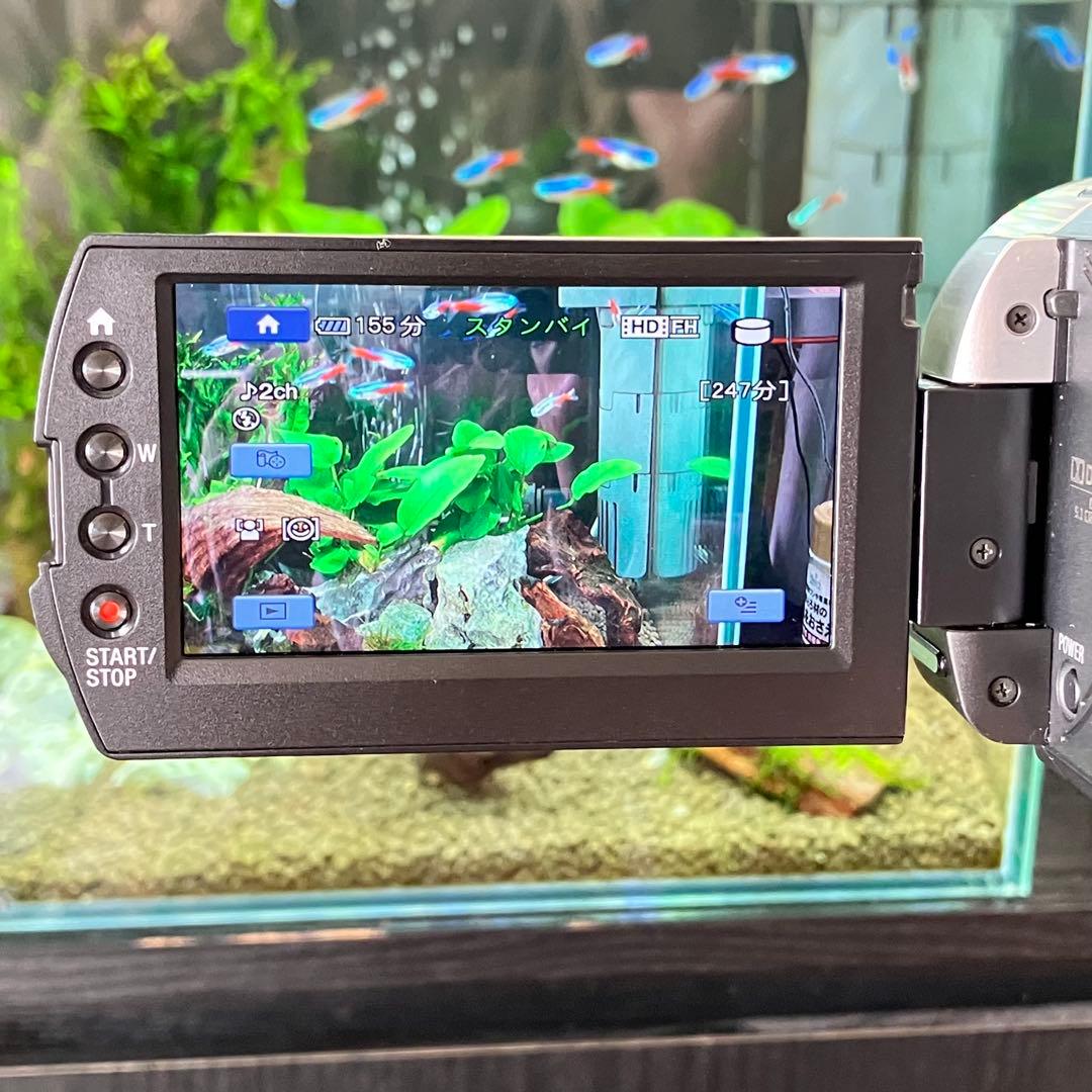 SONY ハンディカム HDR XR500V ビデオカメラ 本体【動作確認済み】