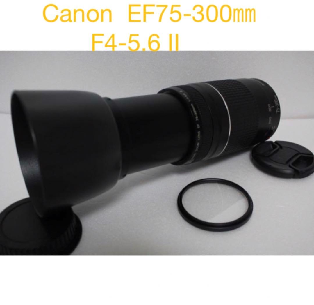 デジタル一眼レフカメラ/Canon EF75-300㎜F4-5.6 II