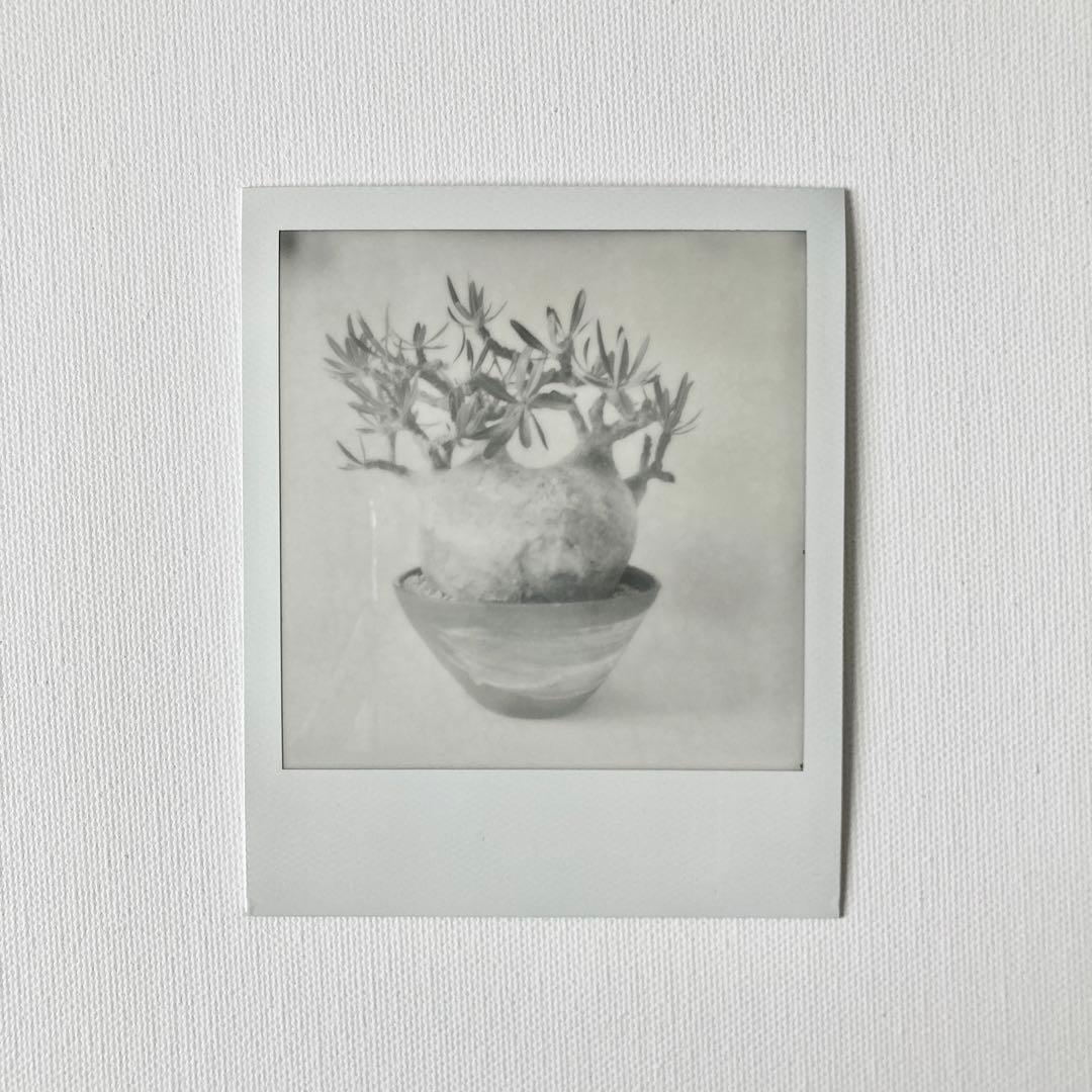 POLAROID SX-70 アクセサリーキット ポラロイド ビンテージ