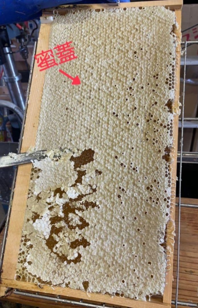 国産天然蜜蝋　ミツロウ　2KG 扱いやすいビーズ型