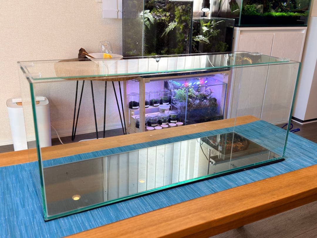 60cmスリム水槽 他16点セット