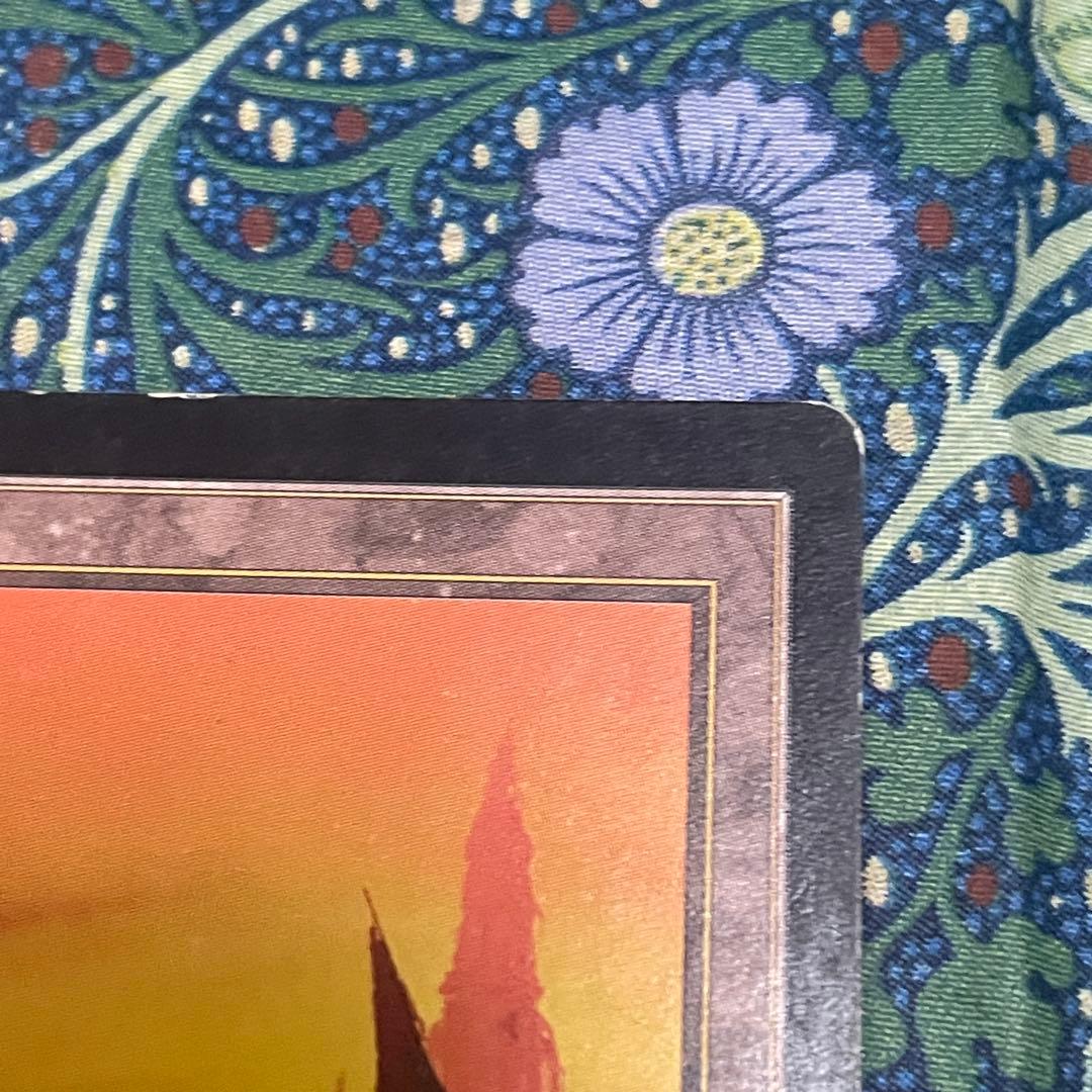 焦土 日3枚 英1枚 計4枚セット