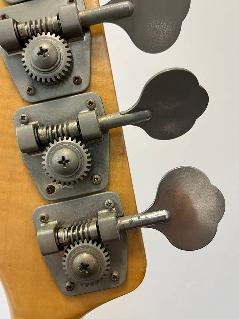 ESP Customパッシブ　1ハム　1ボリューム　ホワイトアッシュ