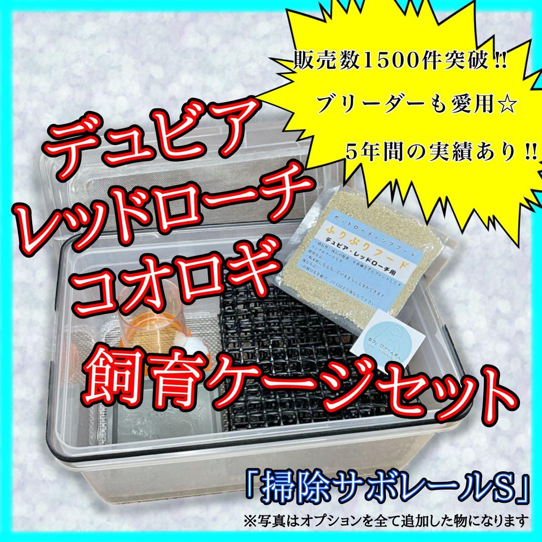 たーら様　S(フル)(デュ)