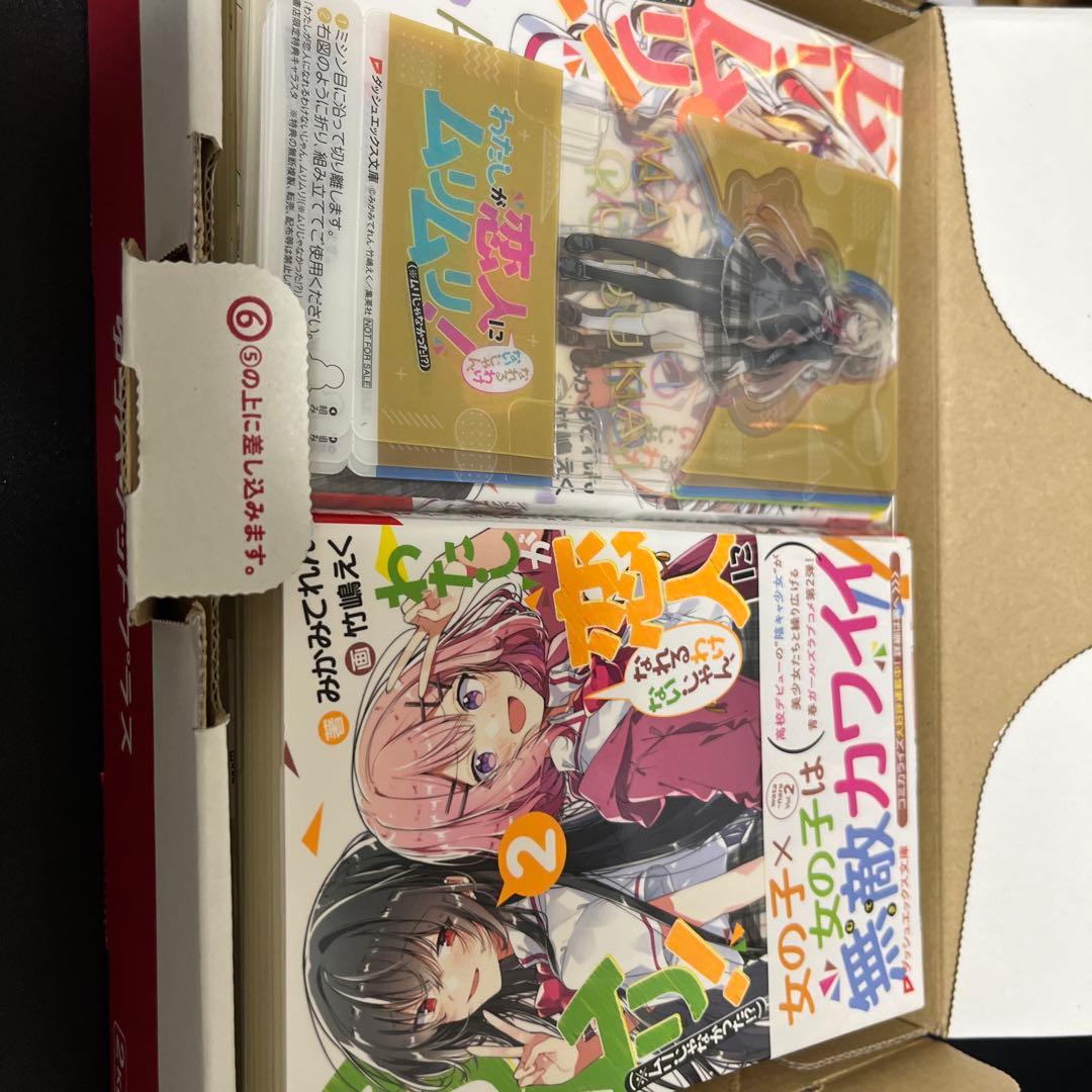 わたしが恋人になれるわけないじゃん　小説全巻初版+クリアキャラスタンド全種