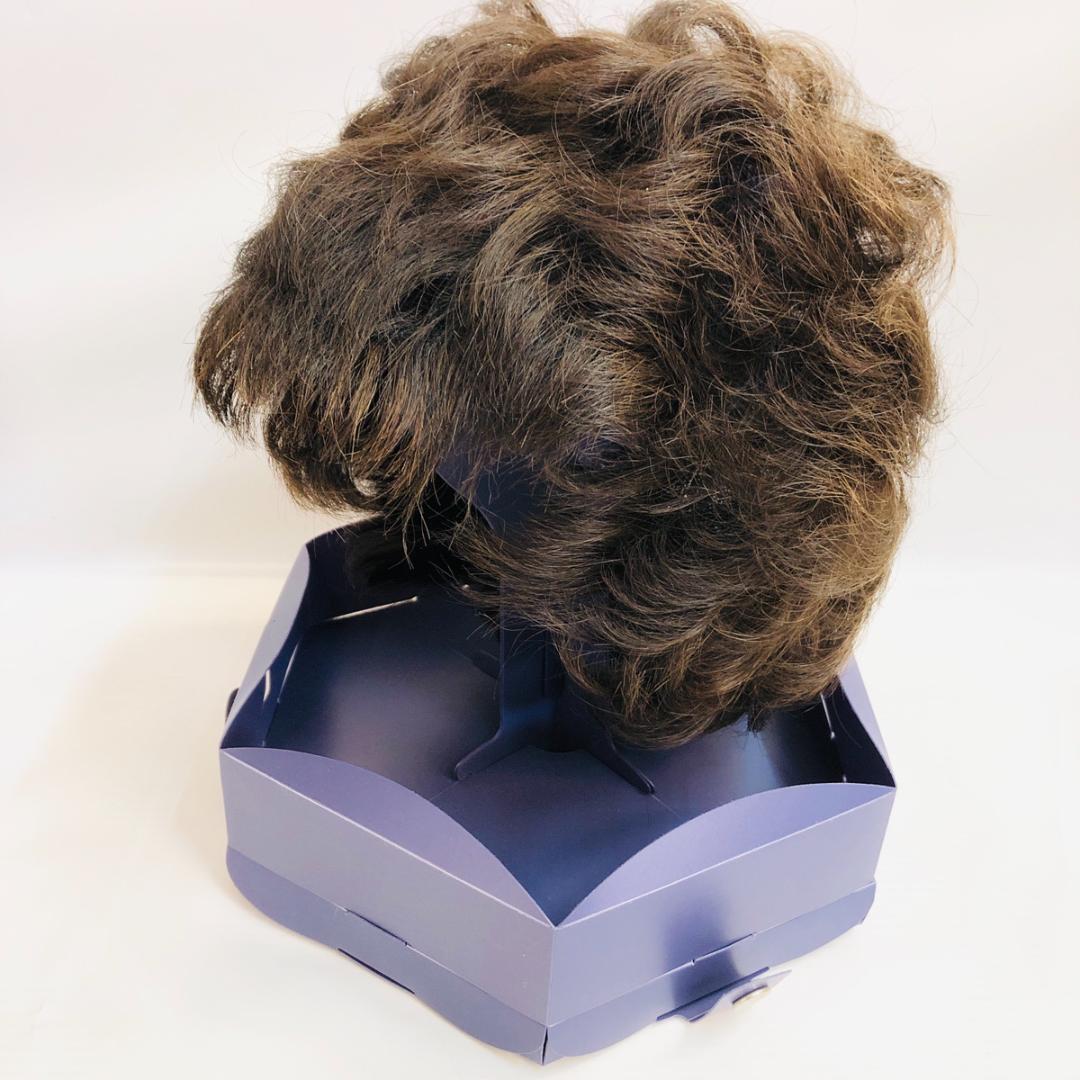 FONTAINE　フォンテーヌ　ウィッグ　ショート　ブラウン　「4620」