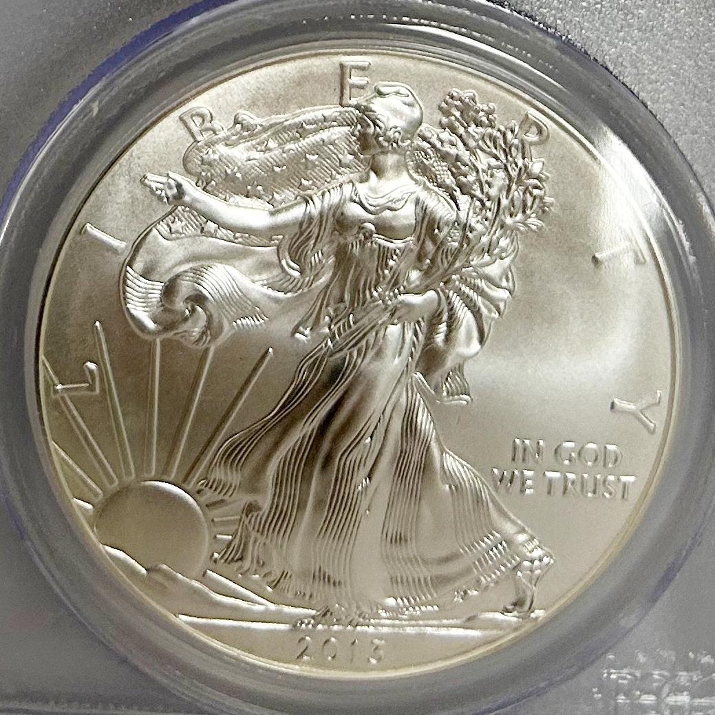 2013年 アメリカンイーグル PCGS MS70 　28258567