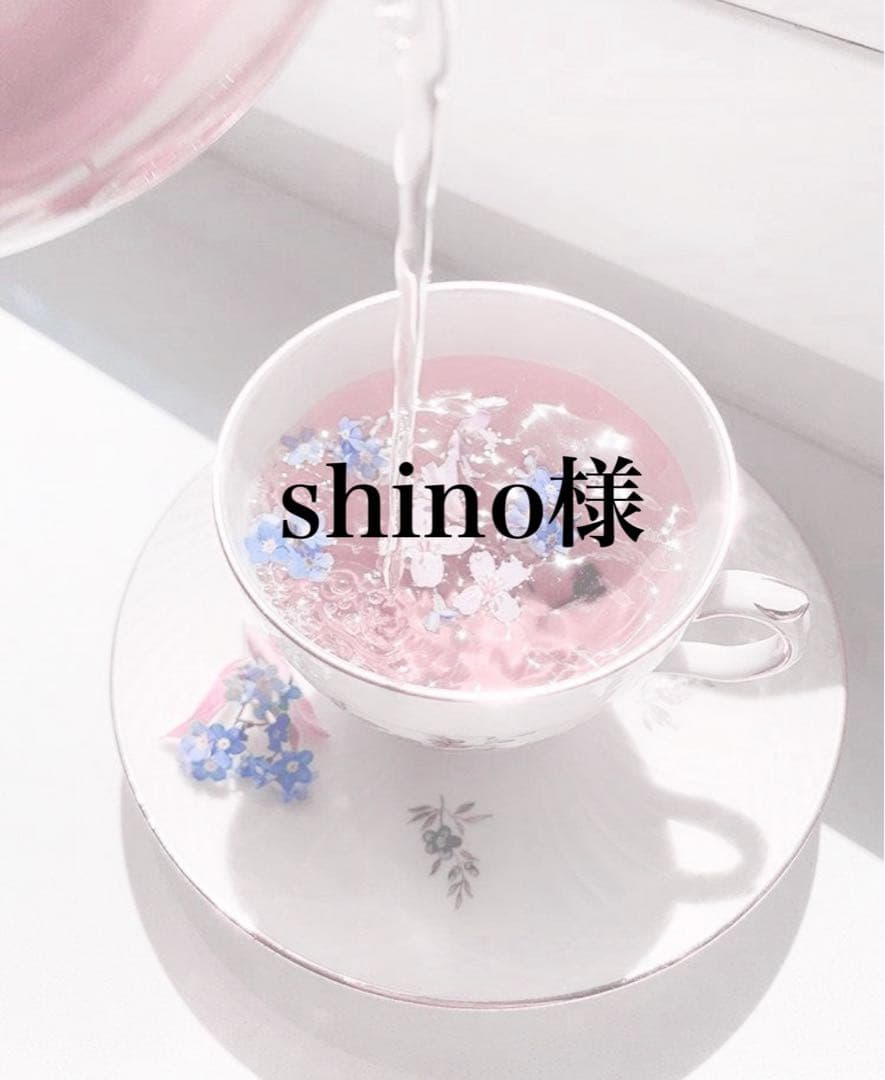 茶 shino