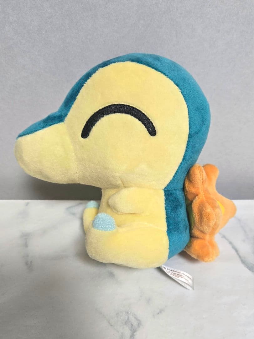 ヒノアラシドール　ポケセン