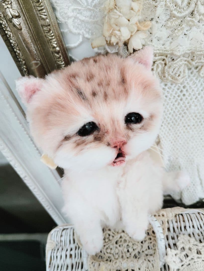 １体限定❤マンチカン子猫ちゃん♡ぽちゃボディ♡よちよちあんよ♡アートドール♡