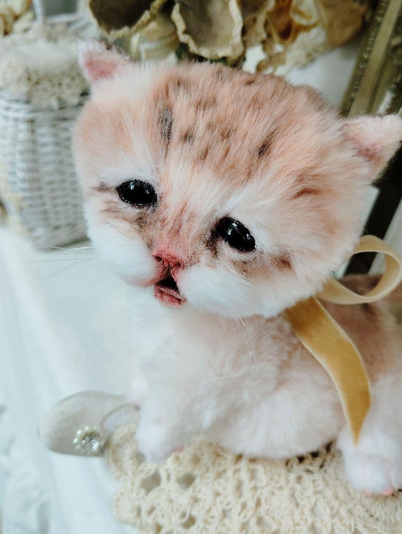 １体限定❤マンチカン子猫ちゃん♡ぽちゃボディ♡よちよちあんよ♡アートドール♡