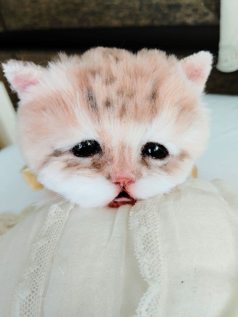 １体限定❤マンチカン子猫ちゃん♡ぽちゃボディ♡よちよちあんよ♡アートドール♡