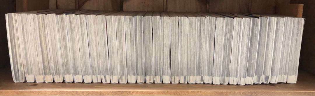 ゴールデンカムイ 全31巻セット + 公式ファンブック