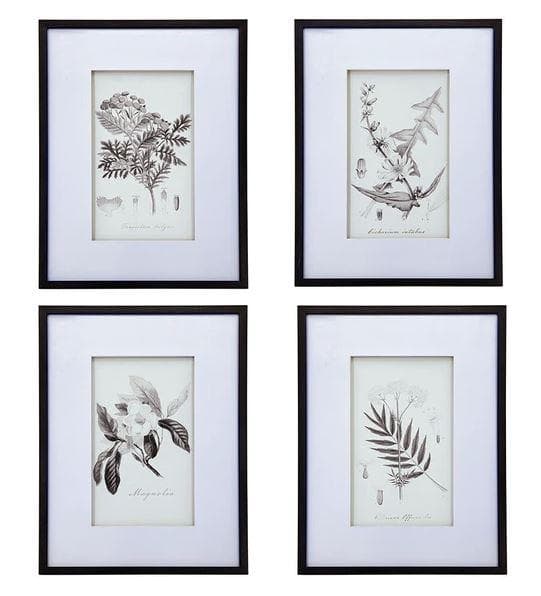 額絵 植物 アートフレーム 4枚セット ボタニカル ナチュラル AN-43782