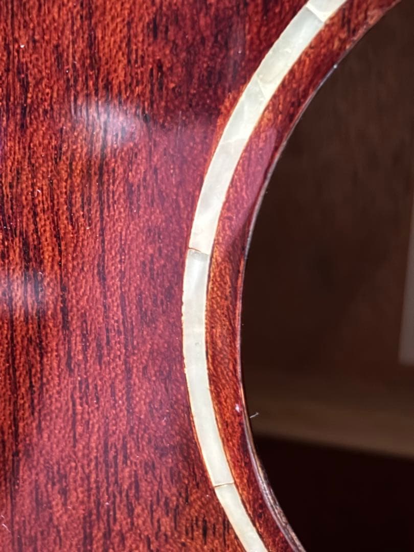 オールマホガニートップ単板/Elvis Ⅱ アコースティックギター ほぼ未使用品