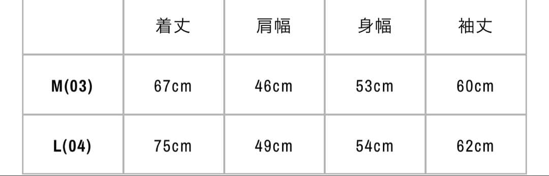 【新品未使用】WILDSIDEワイルドサイド ヨウジヤマモトロンT （サイズL）