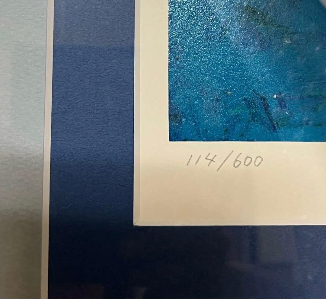 新品　アルゼンチンのバリローチェのウナエル・ウアピ湖