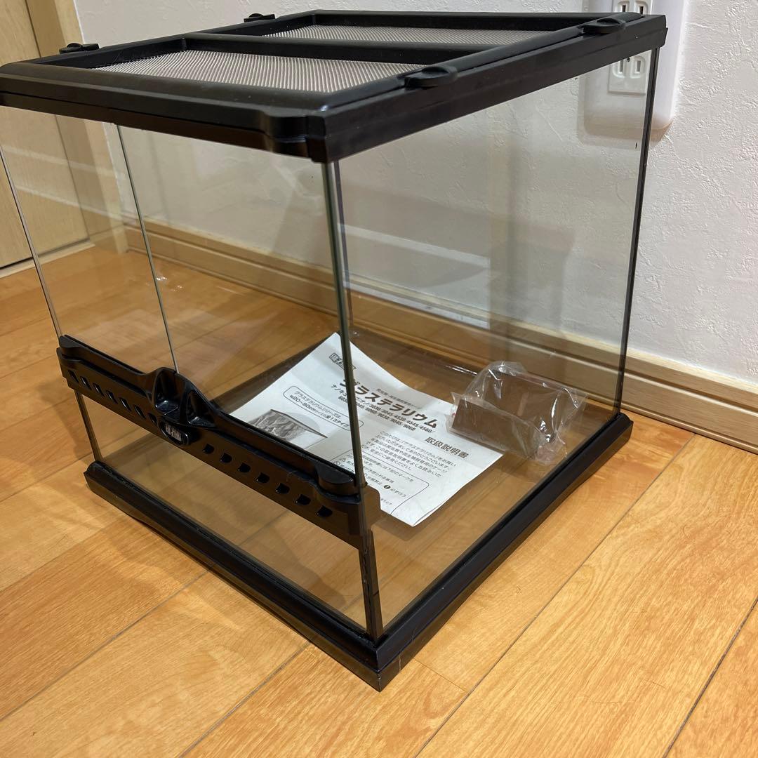 もりもり グラステラリウム 3030 ほぼ未使用 PT2600