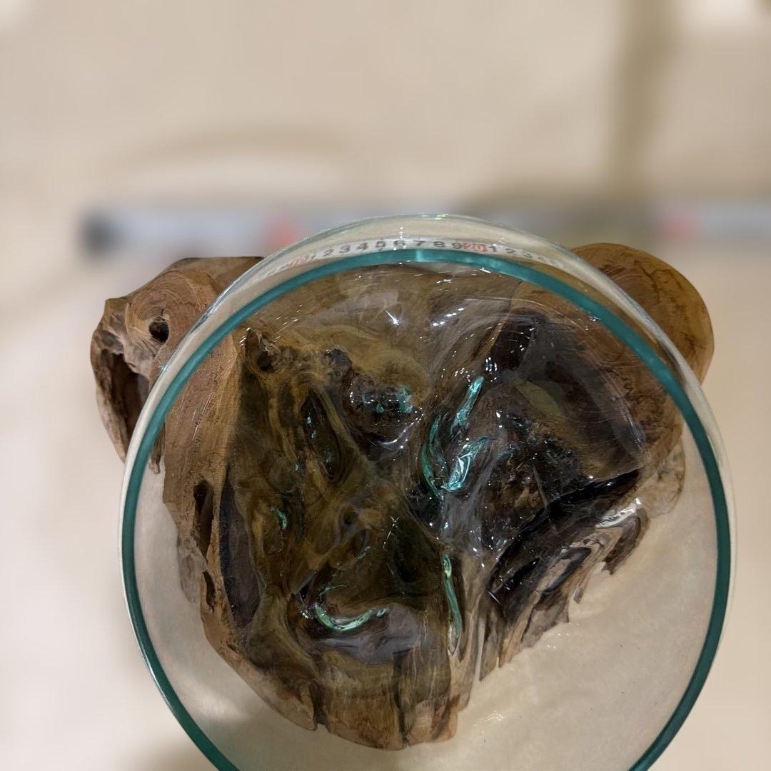 吹きガラスの花瓶、流木台座