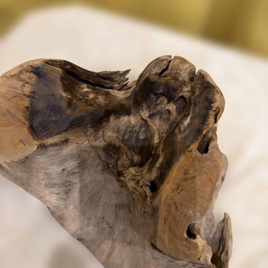 吹きガラスの花瓶、流木台座