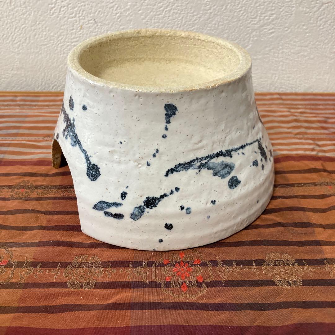 爬虫類シェルター　345 白マット×黒、ブルーとピンク、赤いヒトデ