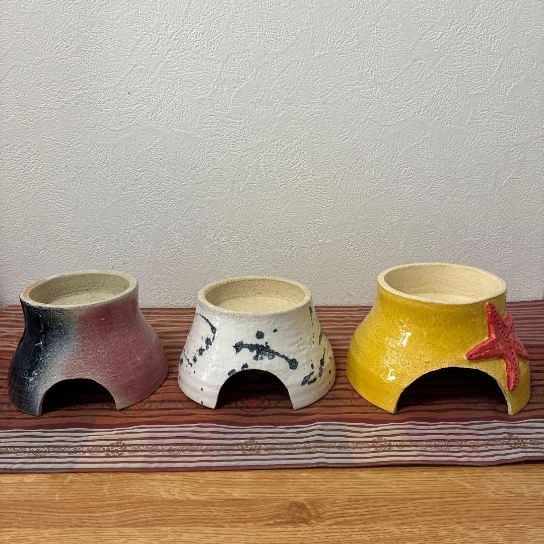 爬虫類シェルター　345 白マット×黒、ブルーとピンク、赤いヒトデ