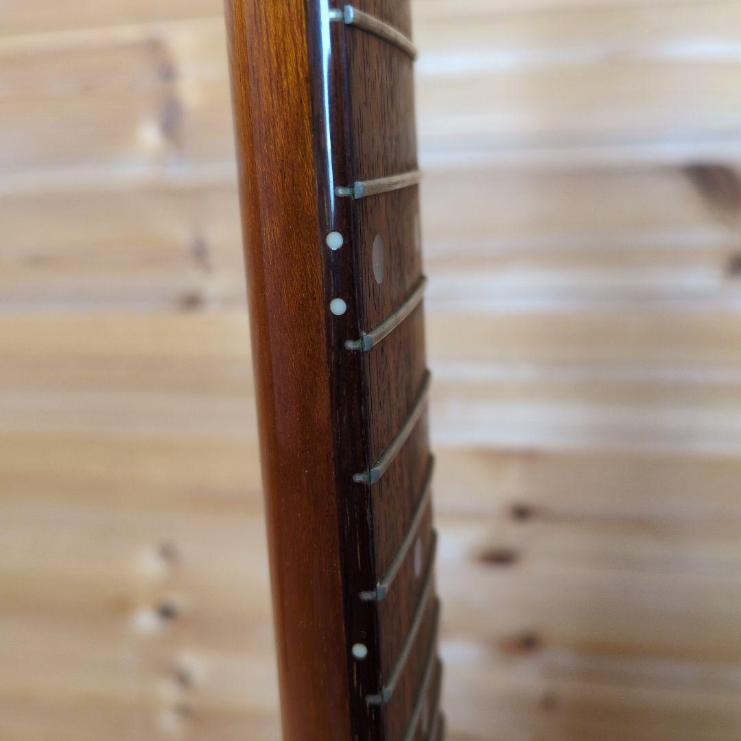 Bacchus　バッカス　bfvシリーズ　フライングV