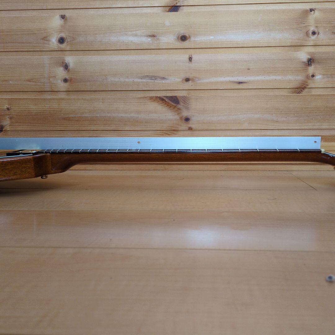 Bacchus　バッカス　bfvシリーズ　フライングV