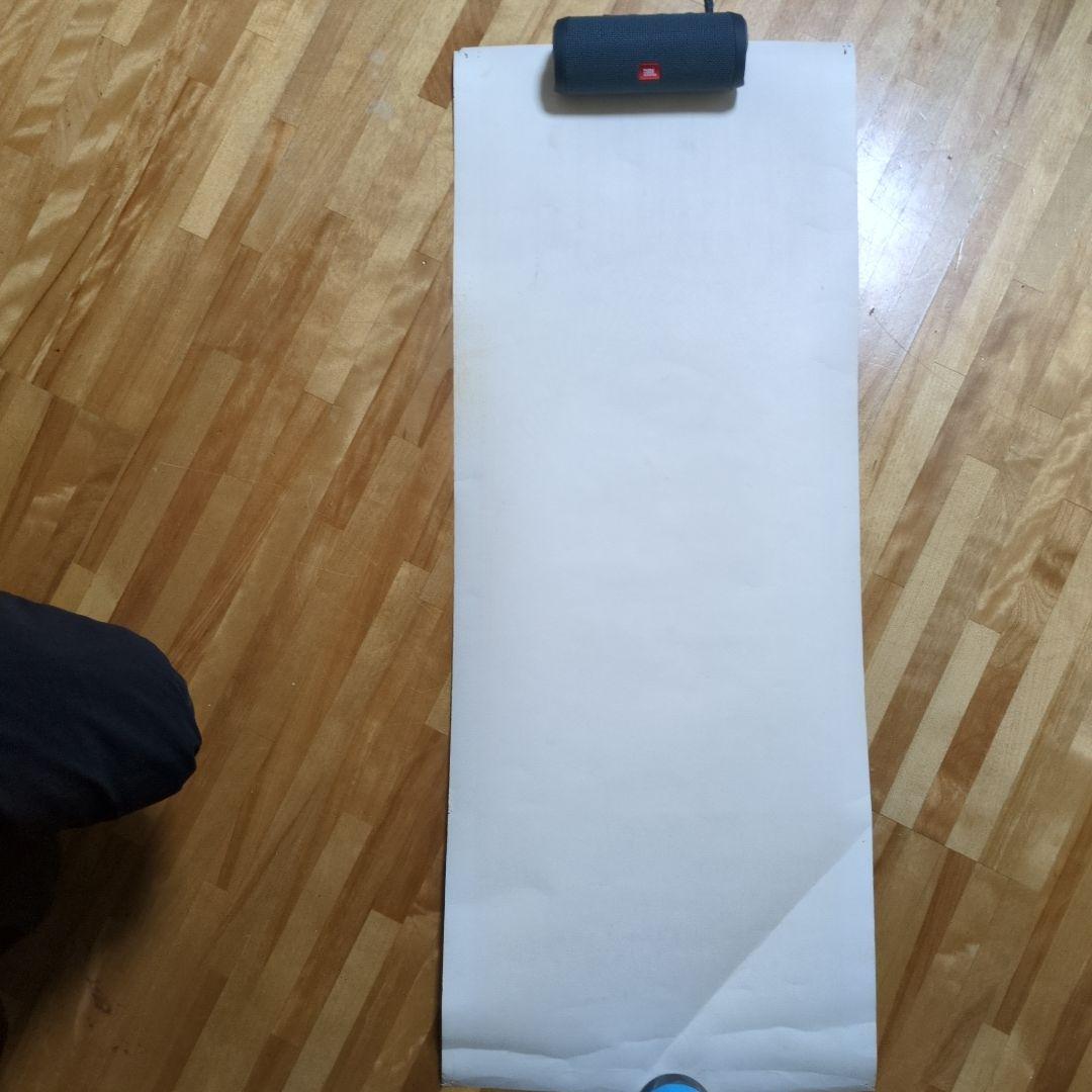 TAZ Ramones 1994 シルクスクリーンポスター