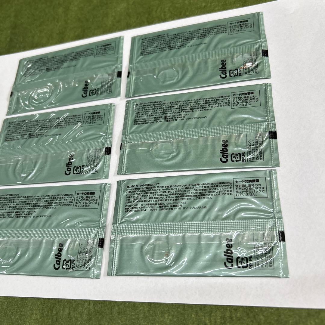 Calbee 2006年プロ野球チップス第3弾 6パック