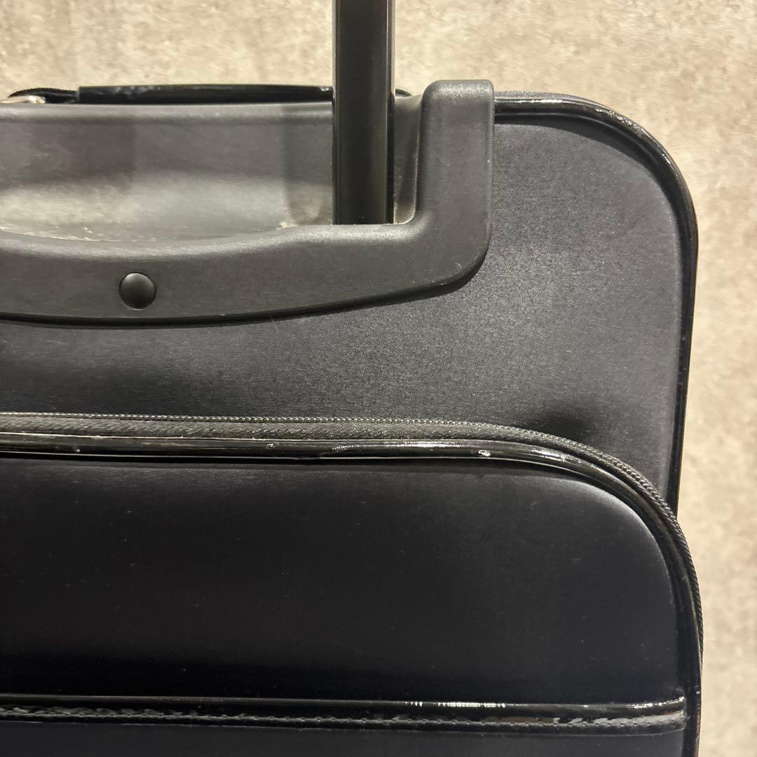 SWANY スワニー Walkin’ Bagキャリーバッグ 鍵・保証書付 美品