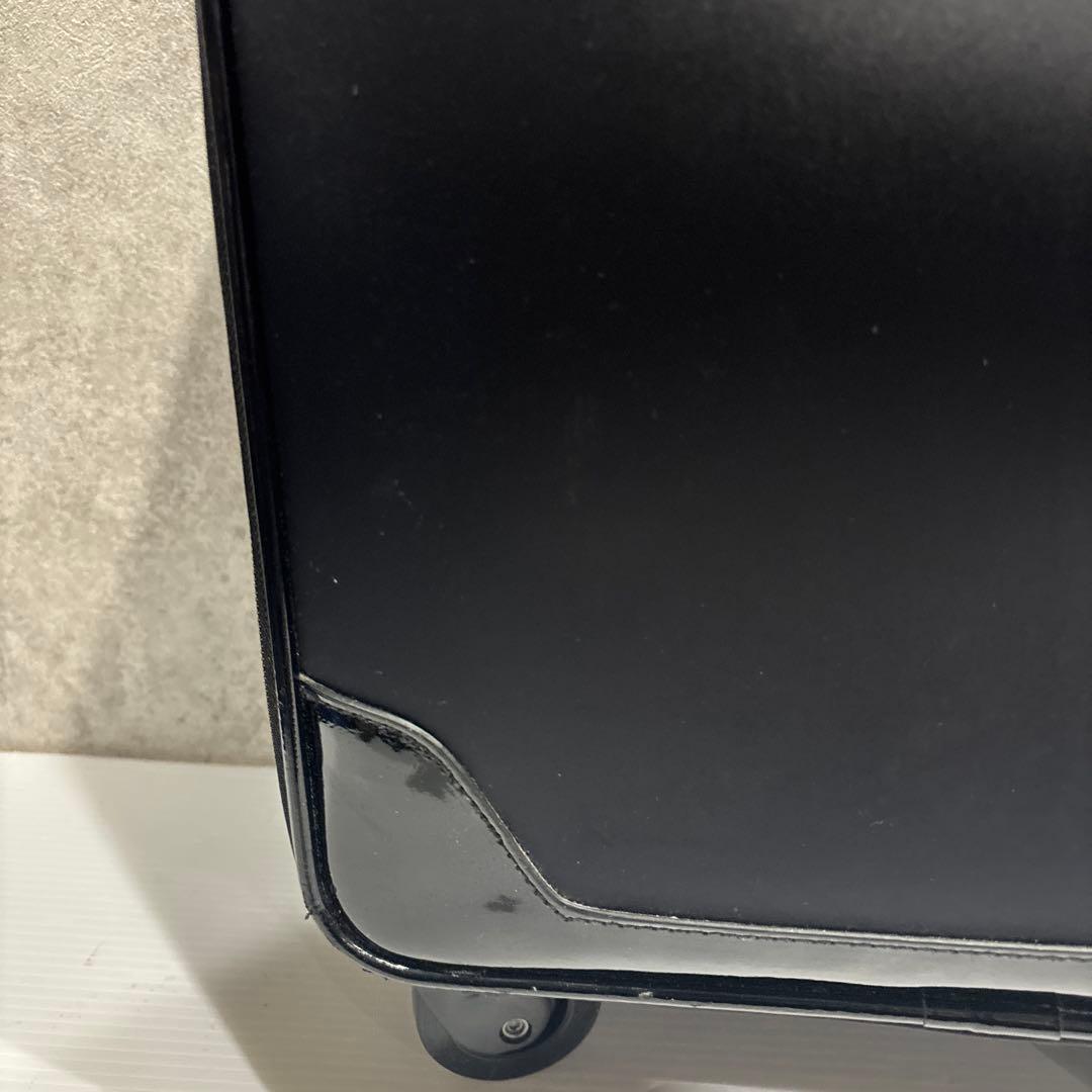 SWANY スワニー Walkin’ Bagキャリーバッグ 鍵・保証書付 美品