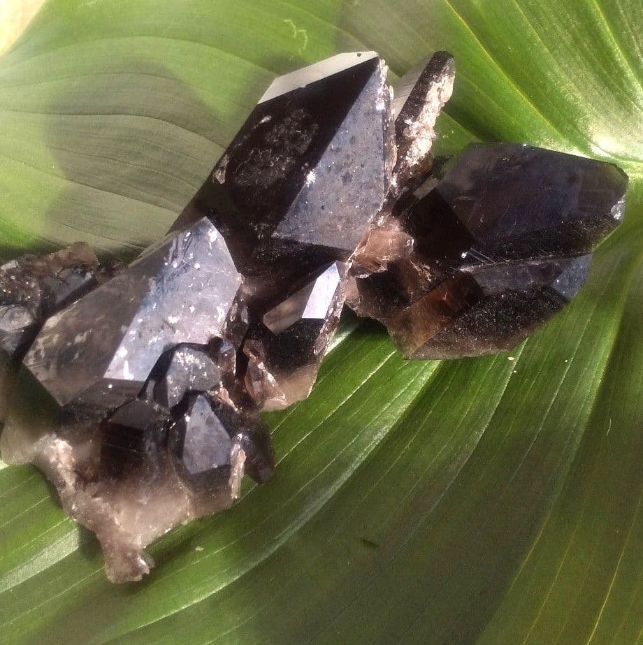 モリオン クラスター アーカンソー州産